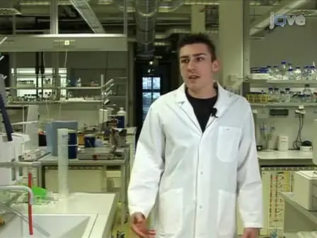 Homemade Site Directed Mutagenesis of Whole Plasmids