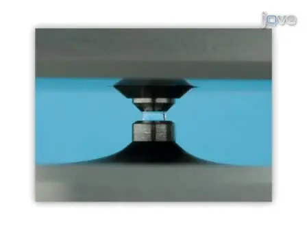 Microvolume Protein Concentration Determination using the NanoDrop 2000c Spectrophotometer