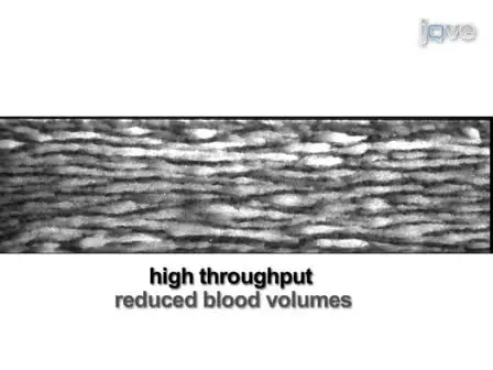Platelet Adhesion and Aggregation Under Flow using Microfluidic Flow Cells