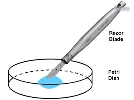 Single-cell Suction Recordings from Mouse Cone Photoreceptors