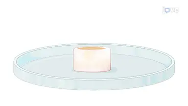 article