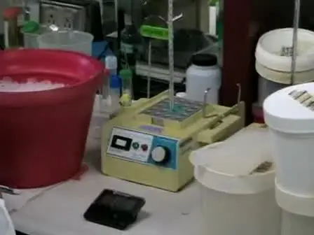 Transformation of Plasmid DNA into E. coli Using the Heat Shock Method