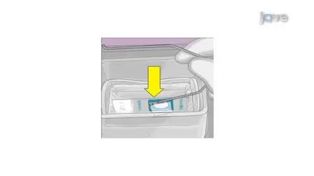 A 1.5 Hour Procedure for Identification of <em>Enterococcus</em> Species Directly from Blood Cultures