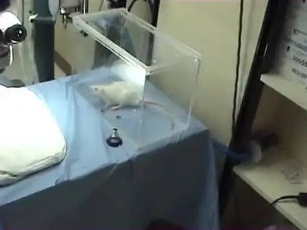 Creation of Reversible Cholestatic Rat Model
