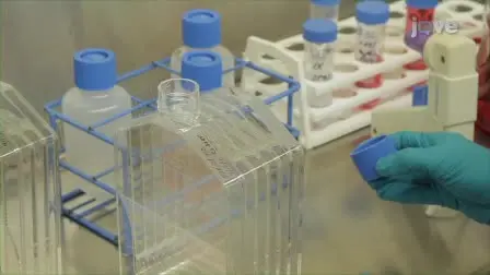 Scale-Up of Mammalian Cell Culture using a New Multilayered Flask