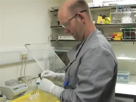 Assaying the Kinase Activity of LRRK2 <em>in vitro</em>