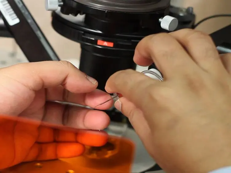 Single Cell Measurement of Dopamine Release with Simultaneous Voltage-clamp and Amperometry