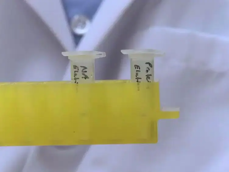 Electricity-Free, Sequential Nucleic Acid and Protein Isolation