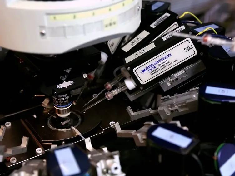 A Computer-assisted Multi-electrode Patch-clamp System