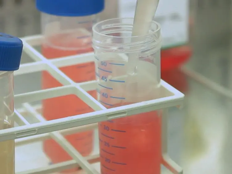 Whole-cell MALDI-TOF Mass Spectrometry is an Accurate and Rapid Method to Analyze Different Modes of Macrophage Activation