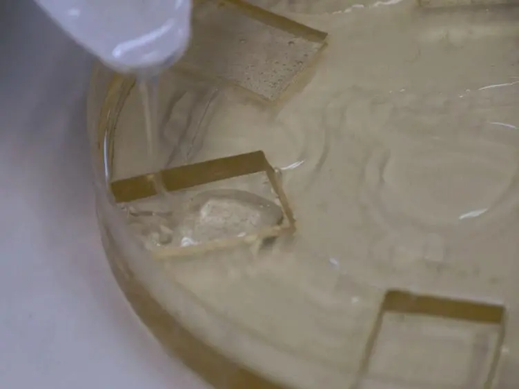 Study of Cell Migration in Microfabricated Channels
