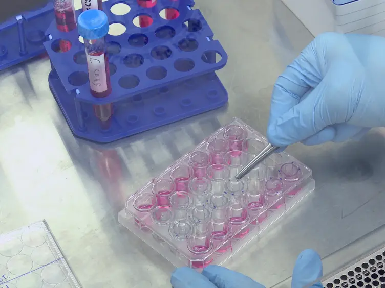 A Modified <em>In vitro</em> Invasion Assay to Determine the Potential Role of Hormones, Cytokines and/or Growth Factors in Mediating Cancer Cell Invasion