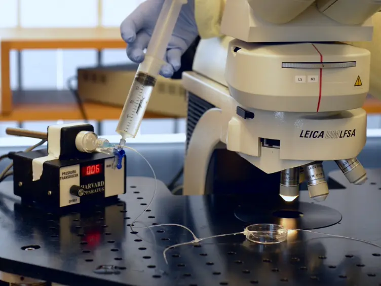 Assessing Leukocyte-endothelial Interactions Under Flow Conditions in an <em>Ex Vivo</em> Autoperfused Microflow Chamber Assay