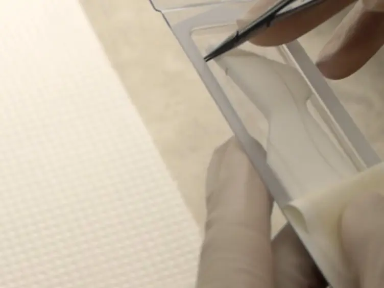 A Surgical Procedure for Resecting the Mouse Rib: A Model for Large-Scale Long Bone Repair