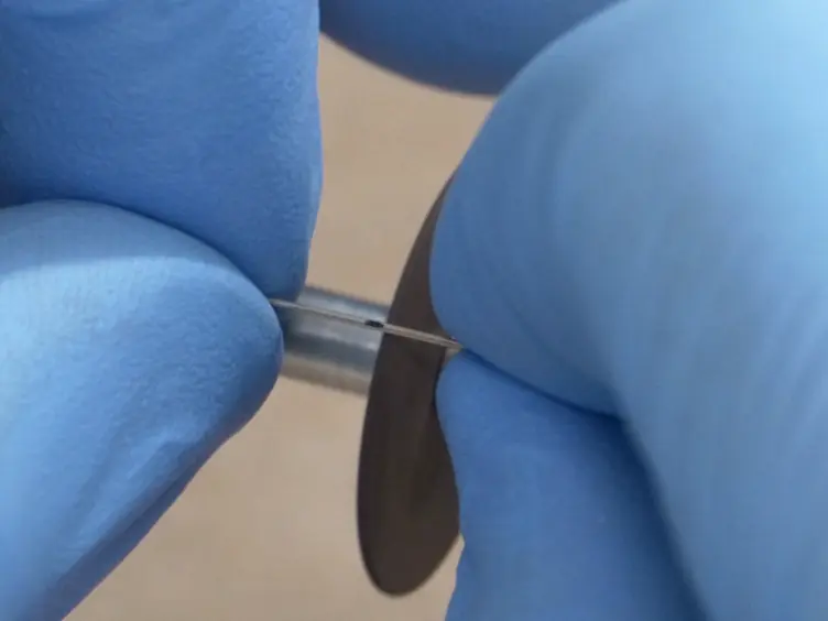 Rodent Brain Microinjection to Study Molecular Substrates of Motivated Behavior