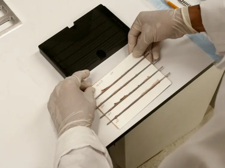 A Simple Device to Rapidly Prepare Whole Mounts of the Mouse Intestine