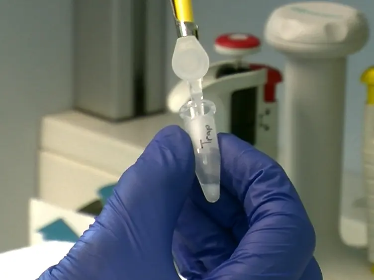 Comparing the Affinity of GTPase-binding Proteins using Competition Assays