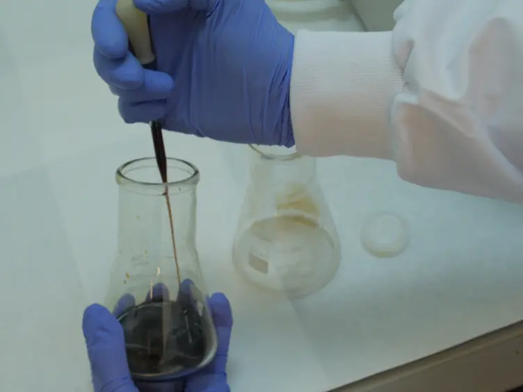 Microwave-driven Synthesis of Iron Oxide Nanoparticles for Fast Detection of Atherosclerosis