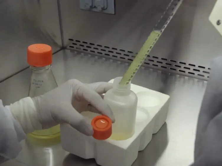 High Yield Expression of Recombinant Human Proteins with the Transient Transfection of HEK293 Cells in Suspension