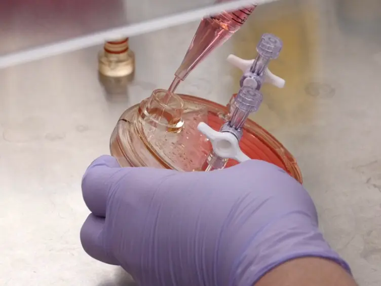 Development of a Multicellular Three-dimensional Organotypic Model of the Human Intestinal Mucosa Grown Under Microgravity