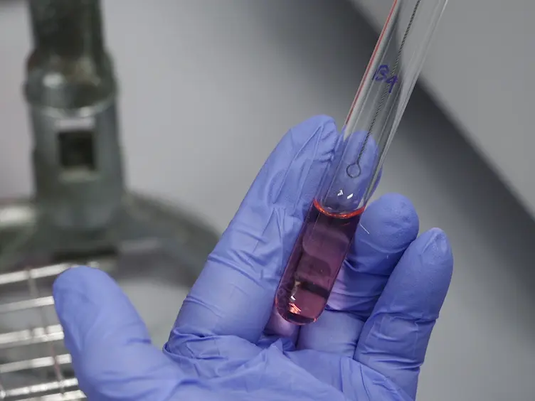 Determination of Biofilm Initiation on Virus-infected Cells by Bacteria and Fungi