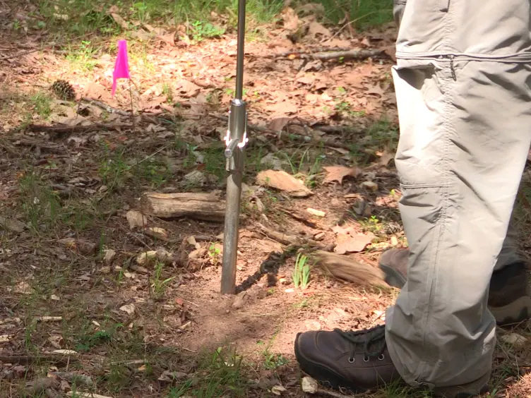 Assessment of Labile Organic Carbon in Soil Using Sequential Fumigation Incubation Procedures