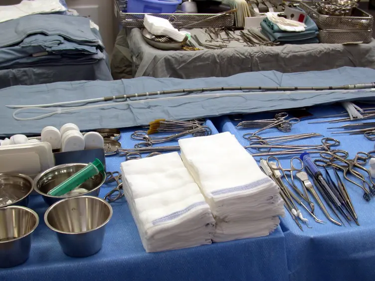 Full-root Aortic Valve Replacement by Stentless Aortic Xenografts in Patients with Small Aortic Roots