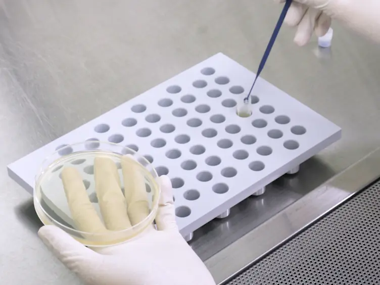 Generation of a Gene-disrupted <em>Streptococcus mutans</em> Strain Without Gene Cloning