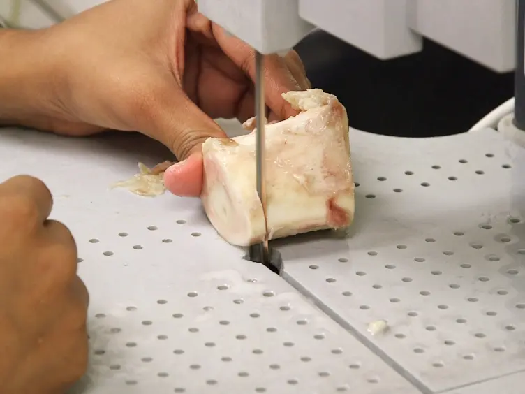 Fragility Assessment of Bovine Cortical Bone Using Scratch Tests