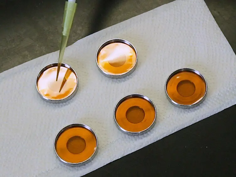 Measuring Gene Expression in Bombarded Barley Aleurone Layers with Increased Throughput