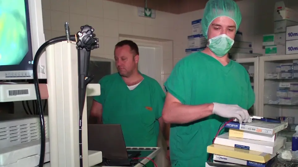 Autonomous and Rechargeable Microneurostimulator Endoscopically Implantable into the Submucosa