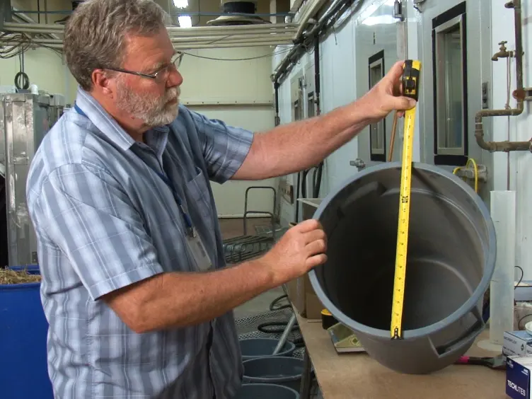 Lab-Scale Model to Evaluate Odor and Gas Concentrations Emitted by Deep Bedded Pack Manure