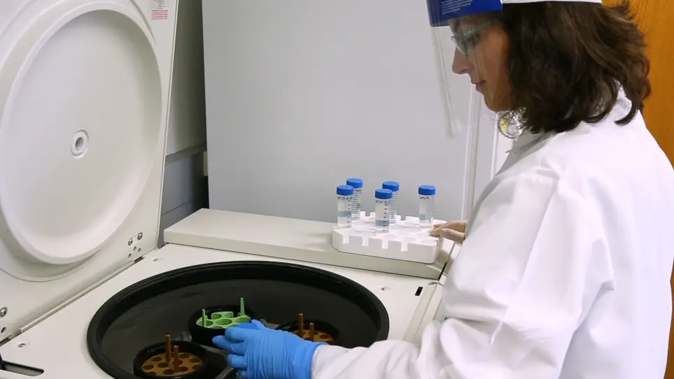 Isolation of Cerebral Capillaries from Fresh Human Brain Tissue