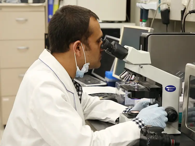 Determination of Protein Expression Level in Cultured Cells by Immunocytochemistry on Paraffin-embedded Cell Blocks