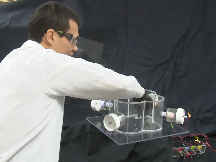 Key Elements of Photo Attraction Bioassay for Insect Studies or Monitoring Programs