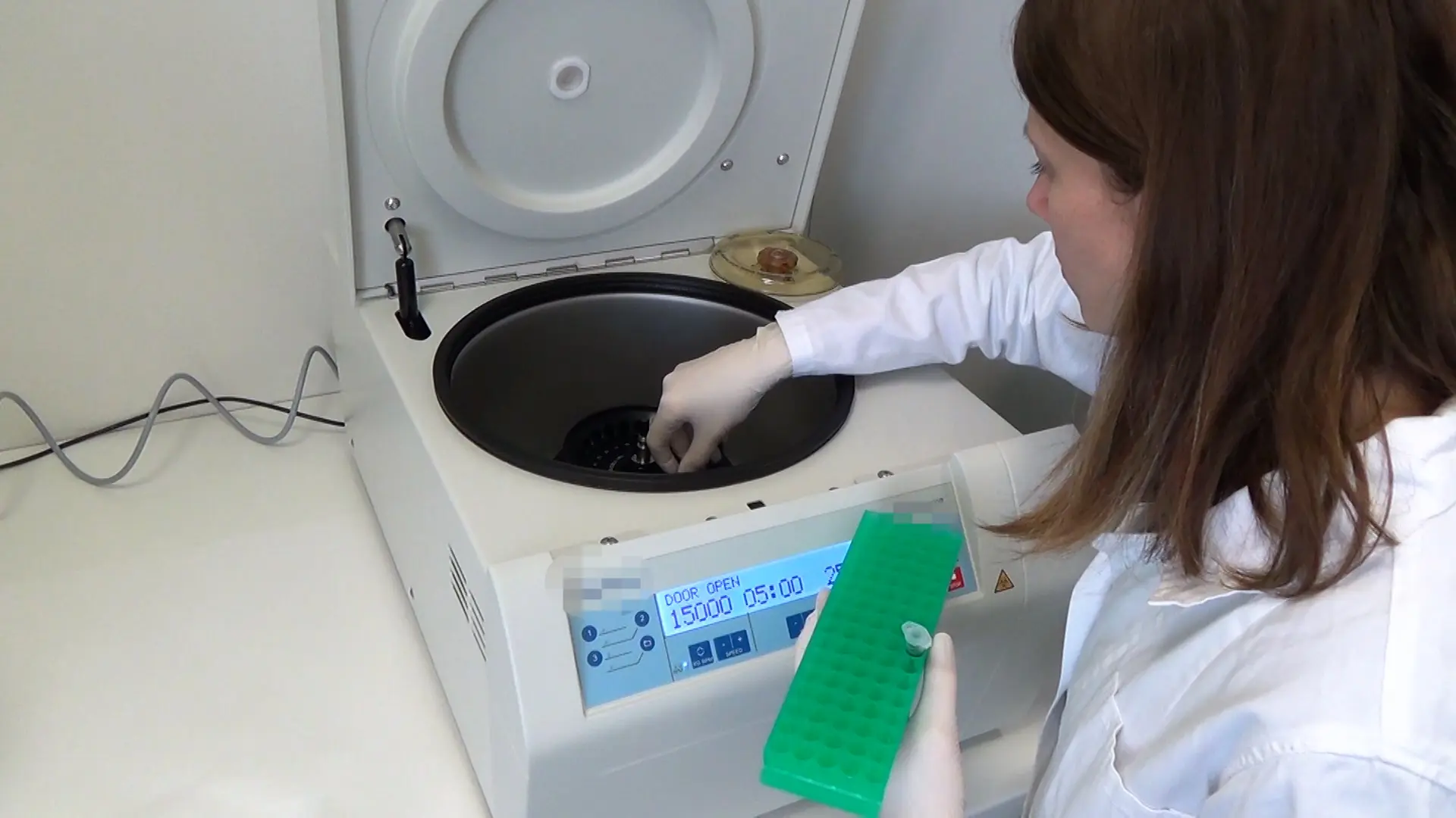 Spectrophotometric Determination of Phycobiliprotein Content in Cyanobacterium <em>Synechocystis</em>