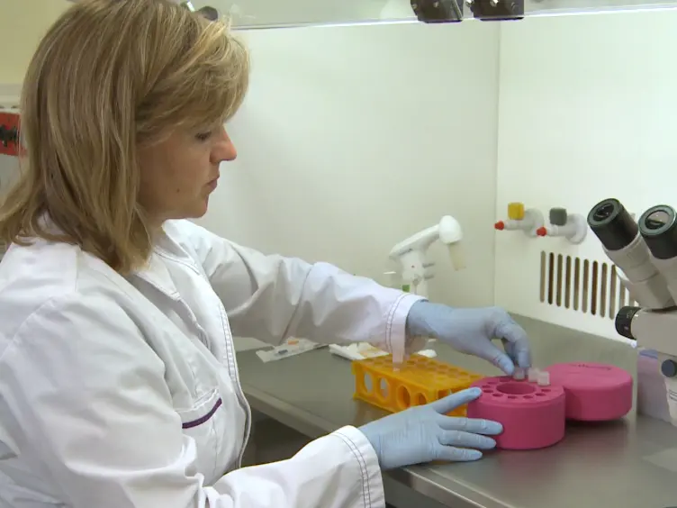 A Tissue Culture Model of Estrogen-producing Primary Bovine Granulosa Cells