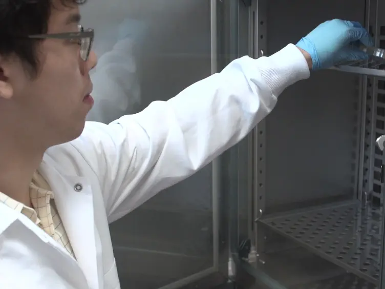 Modifying Baculovirus Expression Vectors to Produce Secreted Plant Proteins in Insect Cells