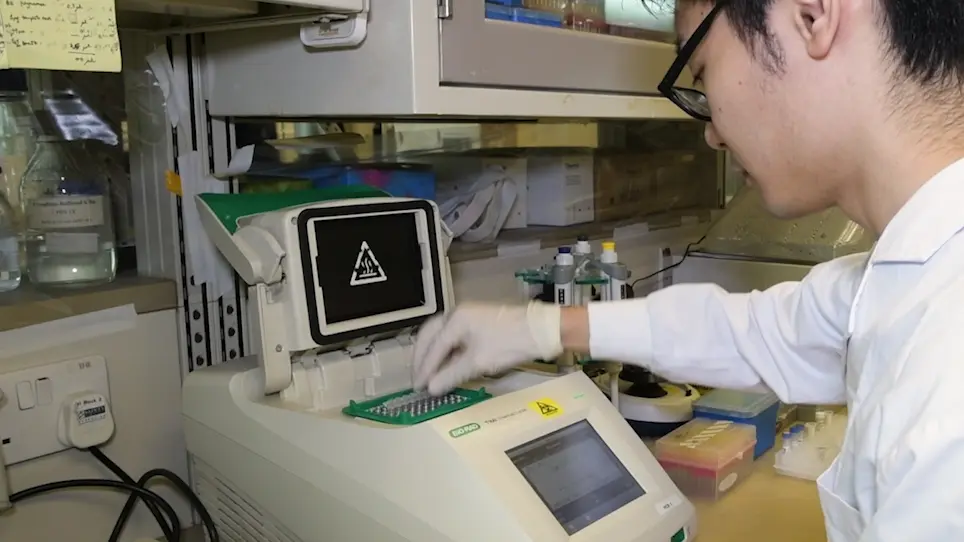 Characterize Disease-related Mutants of RAF Family Kinases by Using a Set of Practical and Feasible Methods