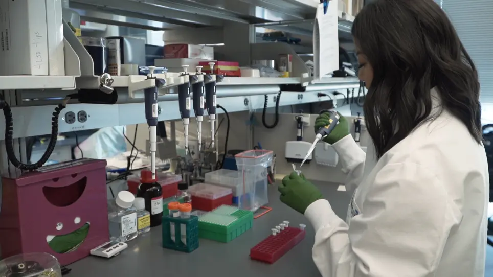 Identification of Circular RNAs using RNA Sequencing