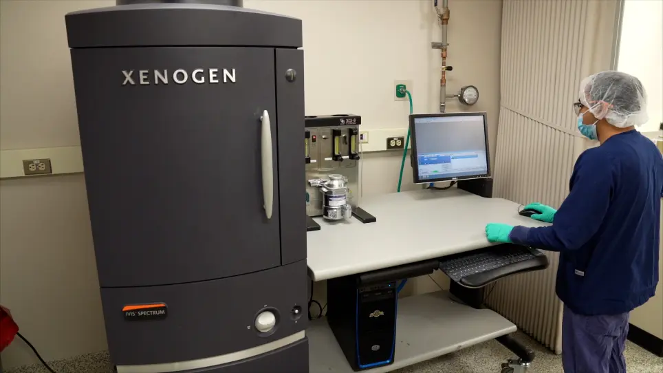 Studying Triple Negative Breast Cancer Using Orthotopic Breast Cancer Model