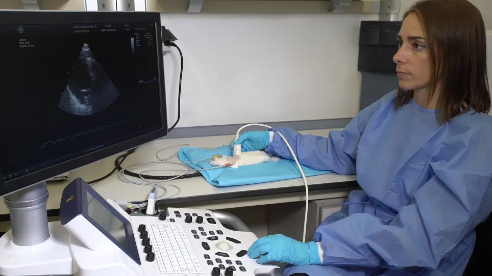 Echocardiographic Assessment of Cardiac Anatomy and Function in Adult Rats