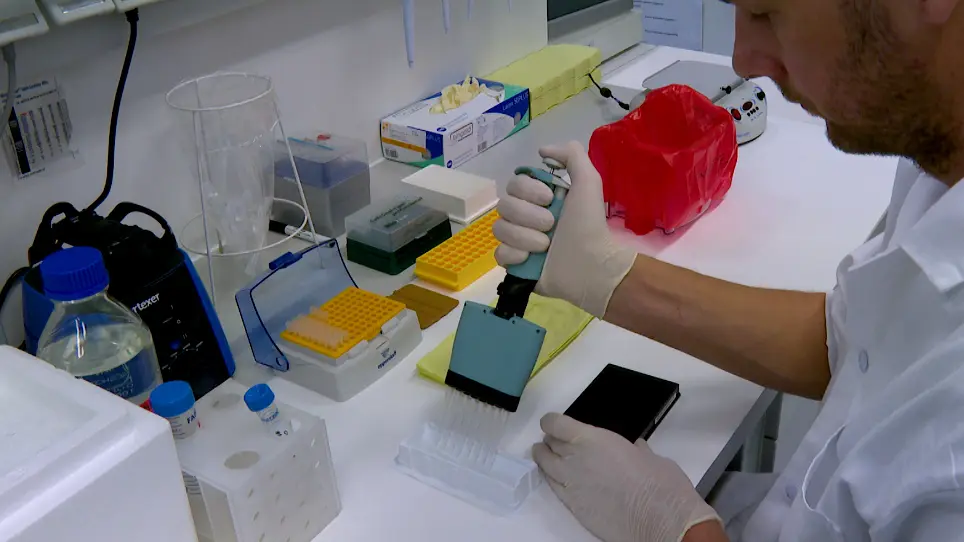 An Electrochemiluminescence-Based Assay for MeCP2 Protein Variants