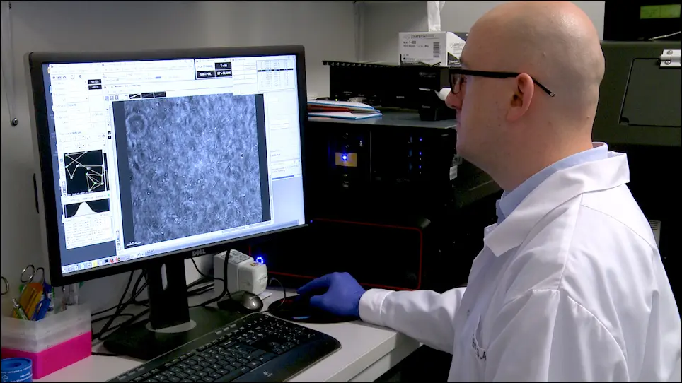 Live-Cell Imaging of the Life Cycle of Bacterial Predator <em>Bdellovibrio bacteriovorus</em> using Time-Lapse Fluorescence Microscopy