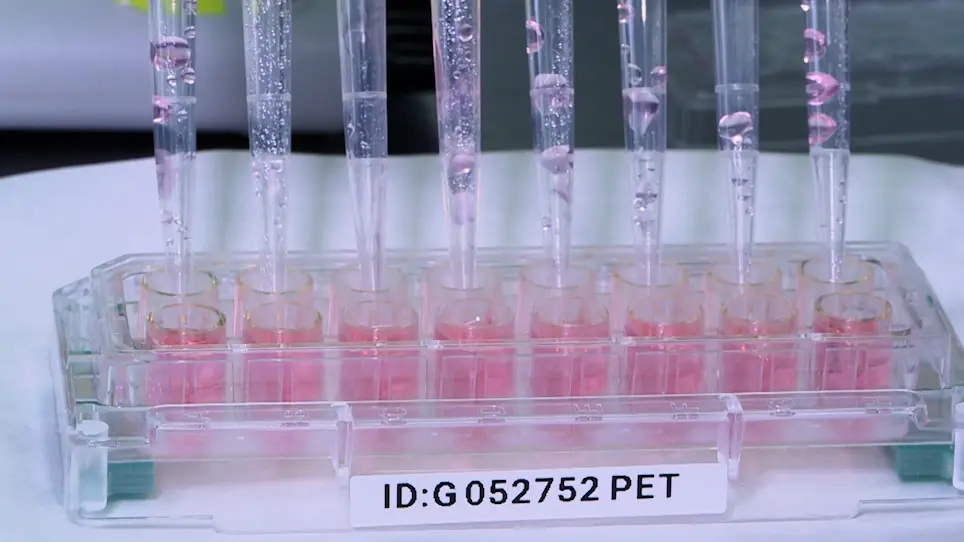 Monitoring Influenza Virus Survival Outside the Host Using Real-Time Cell Analysis