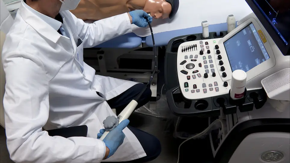 Three-Dimensional Echocardiographic Method for the Visualization and Assessment of Specific Parameters of the Pulmonary Veins