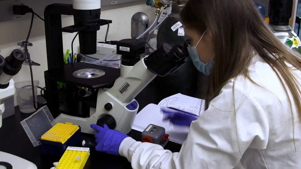 Measuring Transcellular Interactions through Protein Aggregation in a Heterologous Cell System