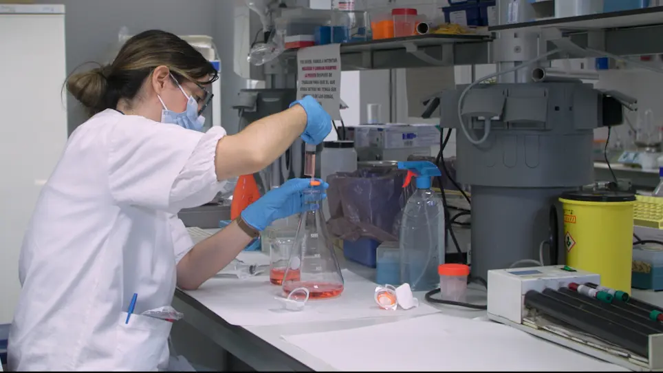 Basophil Activation Test for Allergy Diagnosis