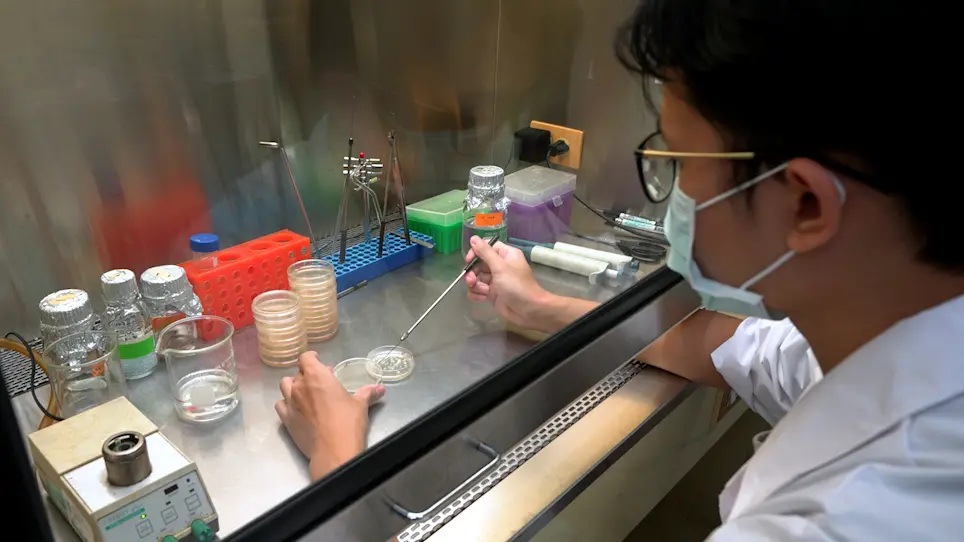 Isolation and Selection of Entomopathogenic Fungi from Soil Samples and Evaluation of Fungal Virulence against Insect Pests