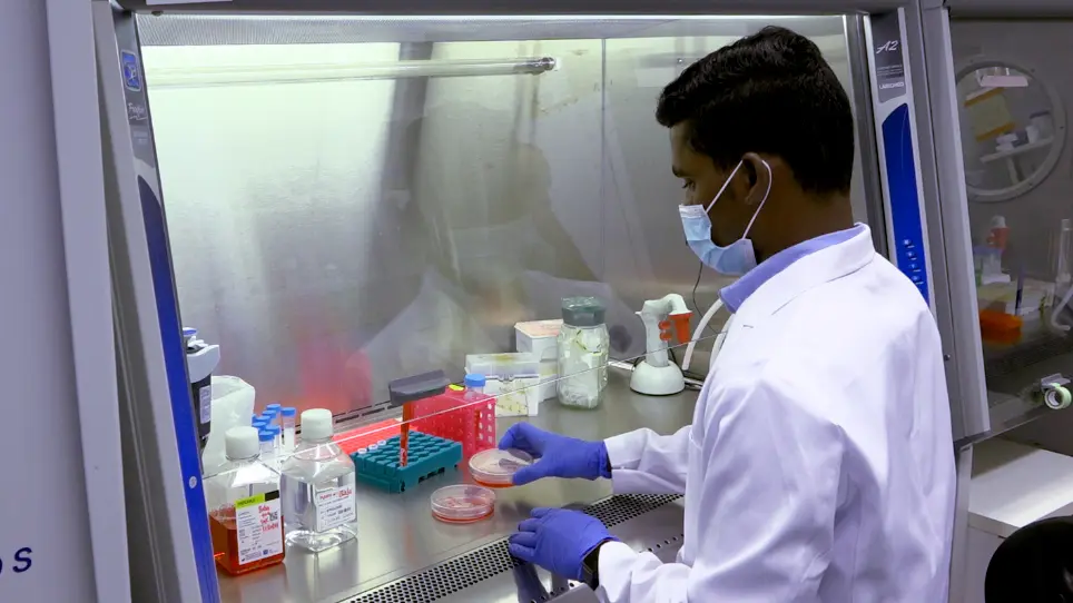 Monitoring Breast Cancer Growth and Metastatic Colony Formation in Mice using Bioluminescence